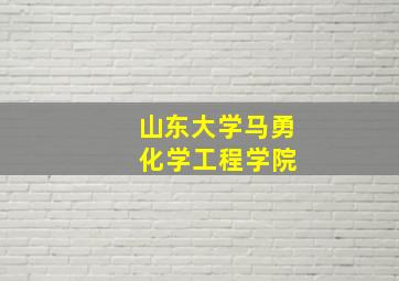 山东大学马勇 化学工程学院